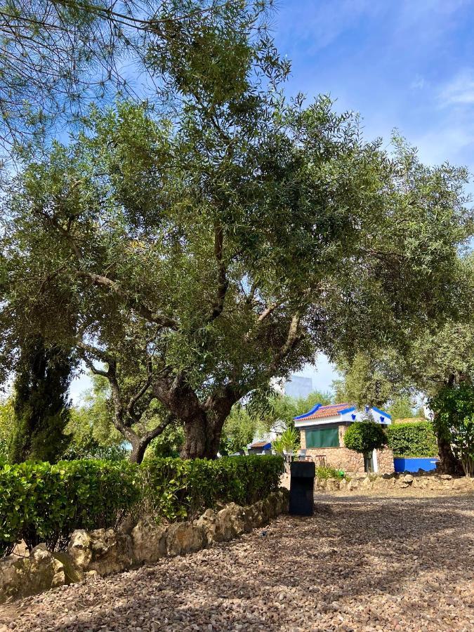 Complejo Rural Mirador De La Alcaidia Villa Hornachuelos Eksteriør bilde