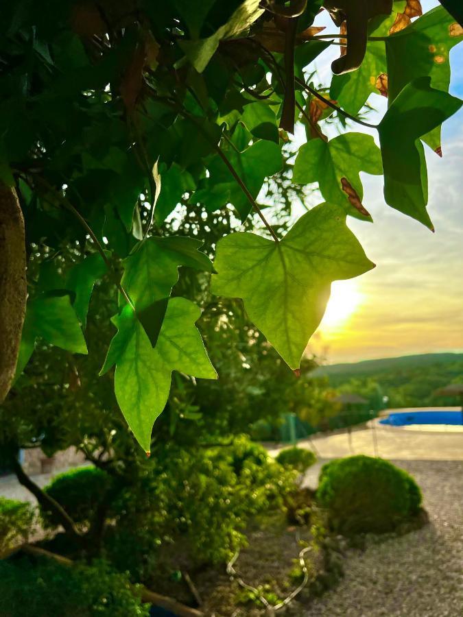 Complejo Rural Mirador De La Alcaidia Villa Hornachuelos Eksteriør bilde