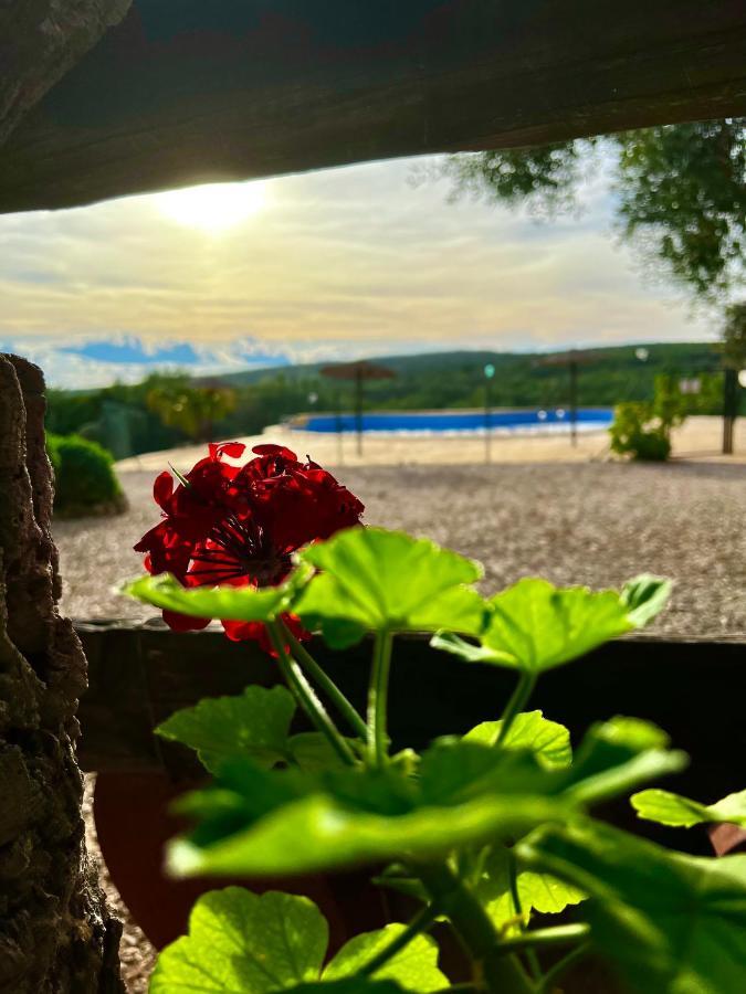 Complejo Rural Mirador De La Alcaidia Villa Hornachuelos Eksteriør bilde