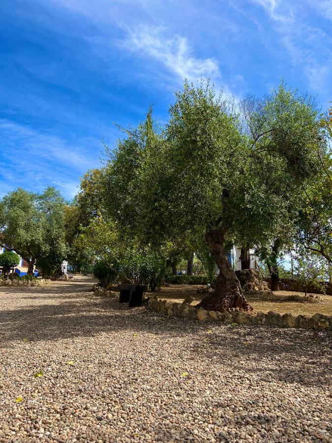 Complejo Rural Mirador De La Alcaidia Villa Hornachuelos Eksteriør bilde