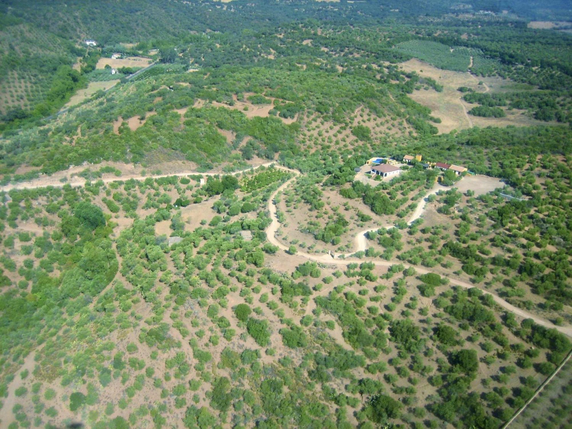Complejo Rural Mirador De La Alcaidia Villa Hornachuelos Eksteriør bilde